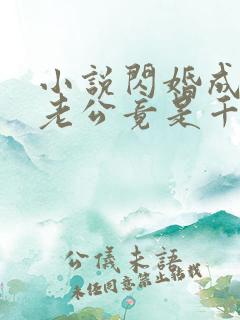 小说闪婚成宠,老公竟是千亿大佬