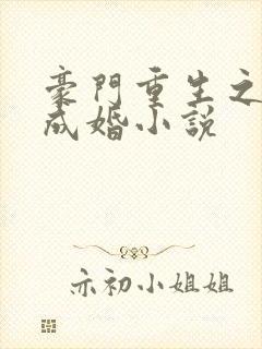 豪门重生之暖爱成婚小说