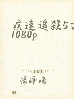 疾速追杀5高清1080p