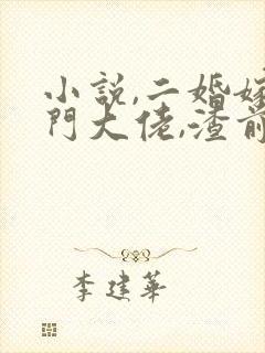 小说,二婚嫁豪门大佬,渣前夫失了控