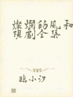 灿烂的风和海电视剧全集