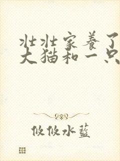 壮壮家养了一只大猫和一只小猫,平均每只猫