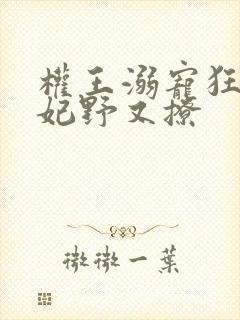 权王溺宠狂傲王妃野又撩