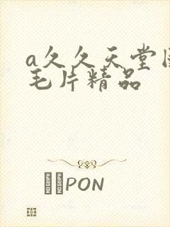 a久久天堂国产毛片精品