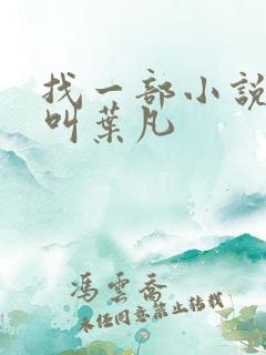 找一部小说主角叫叶凡