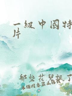一级中国特黄大片