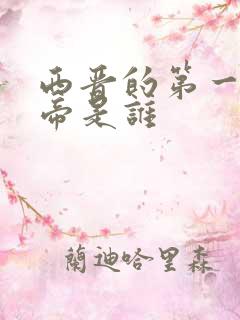 西晋的第一个皇帝是谁