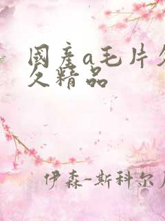 国产a毛片久久久精品