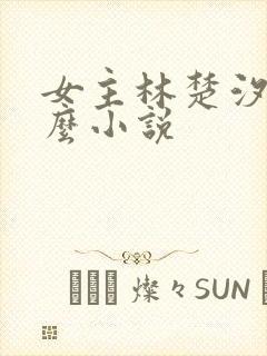 女主林楚汐是什么小说