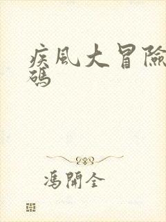 疾风大冒险兑换码