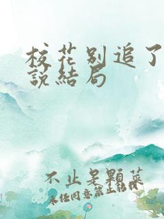 校花别追了我小说结局