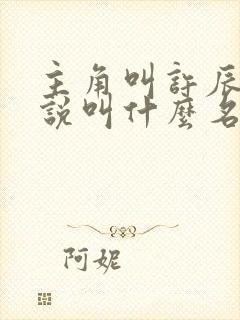 主角叫许辰的小说叫什么名字