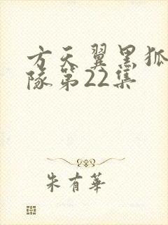 方天翼黑狐突击队第22集