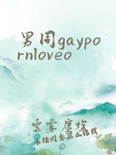 男同gaypornloveo