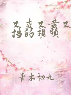 又爽又黄又无遮挡的视频