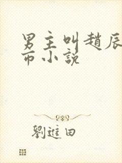 男主叫赵辰的都市小说