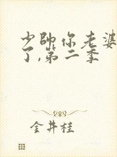 少帅你老婆又跑了,第二季