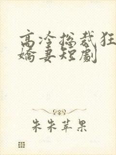 高冷总裁狂宠小娇妻短剧