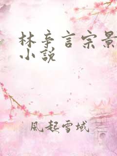 林辛言宗景灏的小说