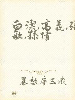 白洁,高义,张敏,孙倩