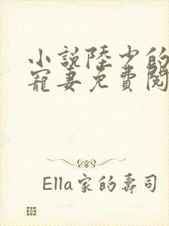 小说陆少的心尖宠妻免费阅读