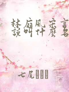 林庭风宋言汐小说叫什么名字