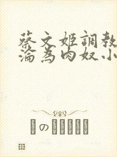 蔡文姬调教喷水沦为肉奴小说