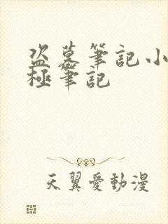 盗墓笔记小说终极笔记