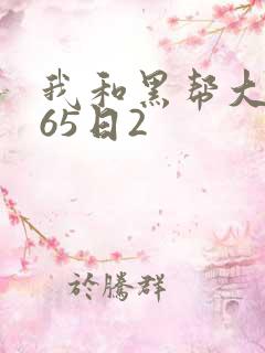 我和黑帮大佬365日2