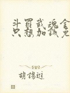 斗罗武魂金光我只想加钱免费阅读