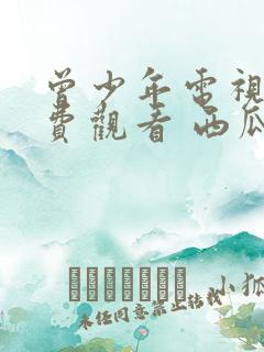 曾少年电视剧免费观看 西瓜