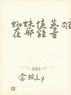 蜘蛛侠英雄无归在哪能看