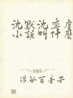 沈默沈奕虞念念小说叫什么名字