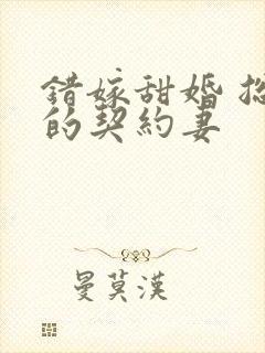 错嫁甜婚 总裁的契约妻