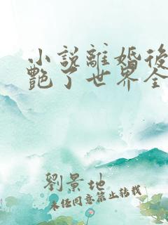 小说离婚后她惊艳了世界全文阅读