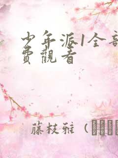 少年派1全部免费观看