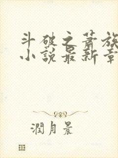 斗破之萧族冰圣小说最新章节