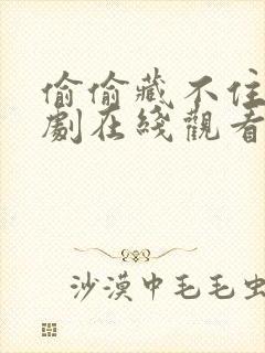 偷偷藏不住电视剧在线观看免费