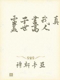 电子书我真不是盖世高人