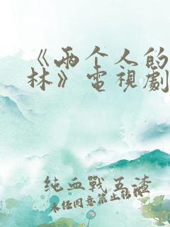 《两个人的小森林》电视剧免费观看