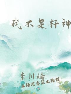 我不是杆神锤锤