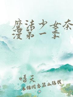 魔法少女奈叶动漫第一季