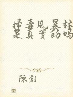 扫毒风暴林强峰是真实的吗