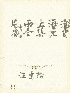 风雨上海滩电视剧全集免费观看第1集