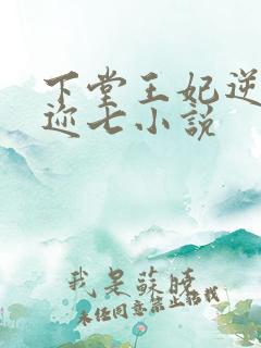 下堂王妃逆袭记迩七小说