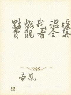 点燃我温暖你免费观看全集完整版