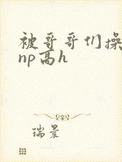 被哥哥们操坏了np高h