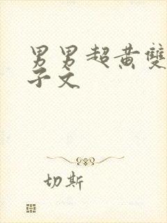 男男超黄双性生子文