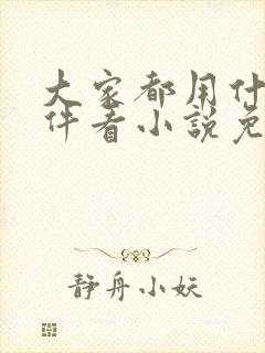 大家都用什么软件看小说免费