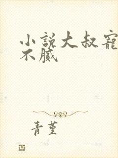 小说大叔宠妻甜不腻